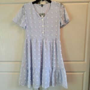 Alredine Powder Blue Swiss Dot Short Sleeve Babydoll Dress